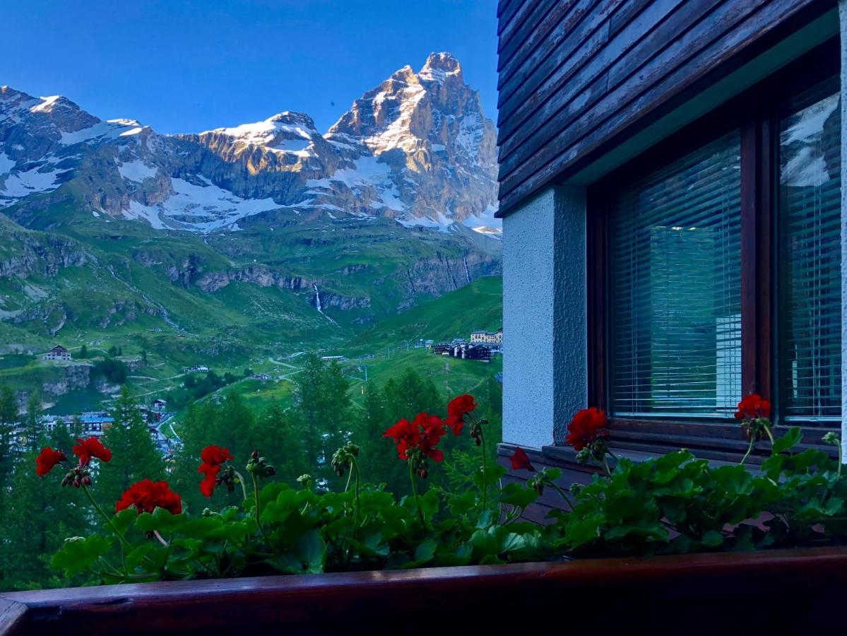 Panoramic Apartment Брей-Червиния Экстерьер фото
